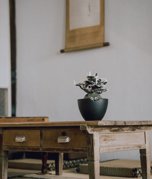 Agave Titanota Unhappy Doji