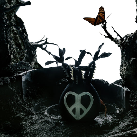 Peace Pachypodium Gracilius