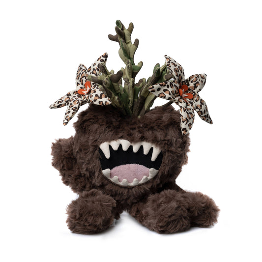 Huernia Macrocarpa iDoll