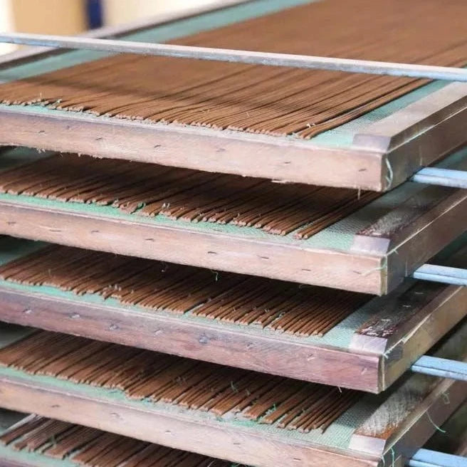 Taiwanese Hinoki
