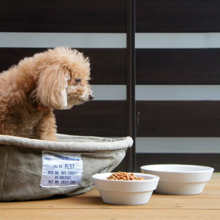 Mangkuk Hewan Peliharaan Besar