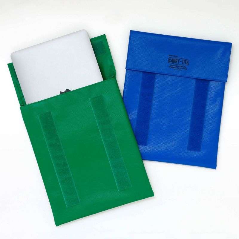 Carry-Tite Case (L) Green