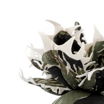 Agave Titanota Unhappy Doji