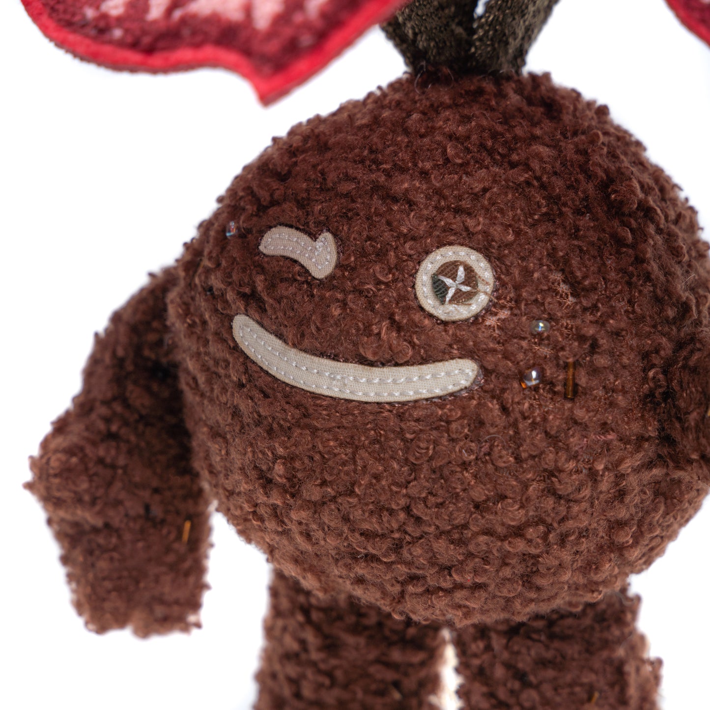 Candy Stripe Begonia