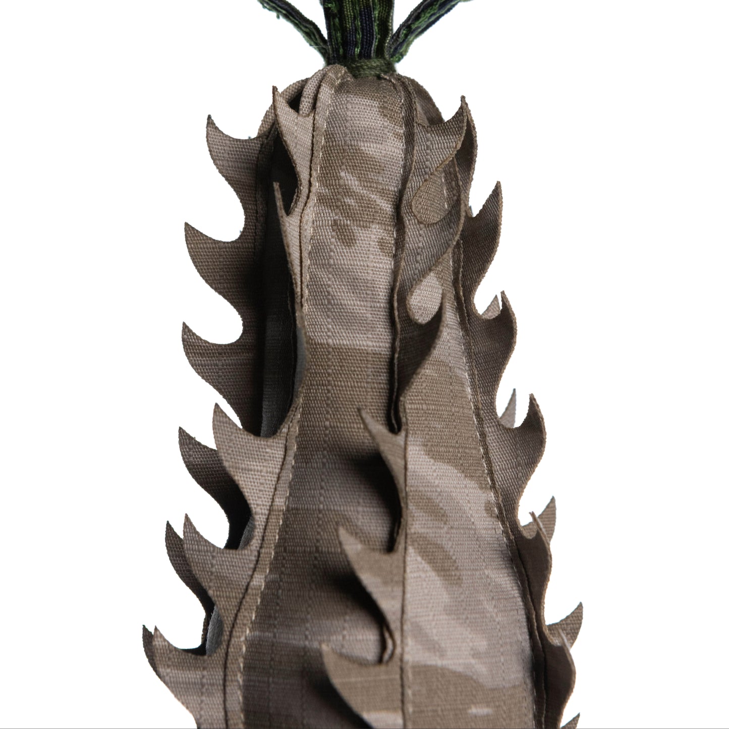 Pachypodium Baronii Doji