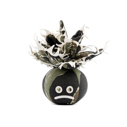 Agave Titanota Unhappy Doji