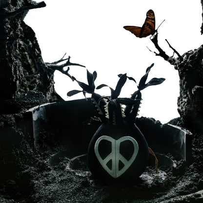 Peace Pachypodium Gracilius