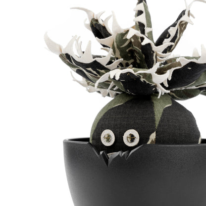 Agave Titanota Unhappy Doji