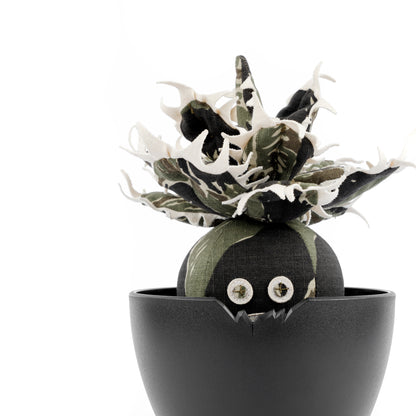 Agave Titanota Unhappy Doji