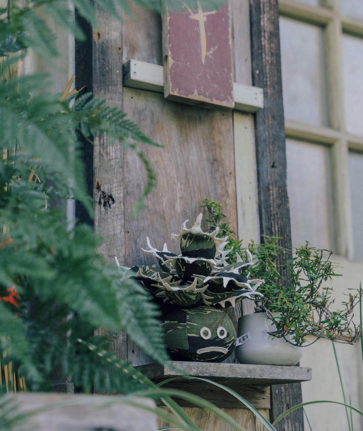 Agave Titanota Unhappy Doji