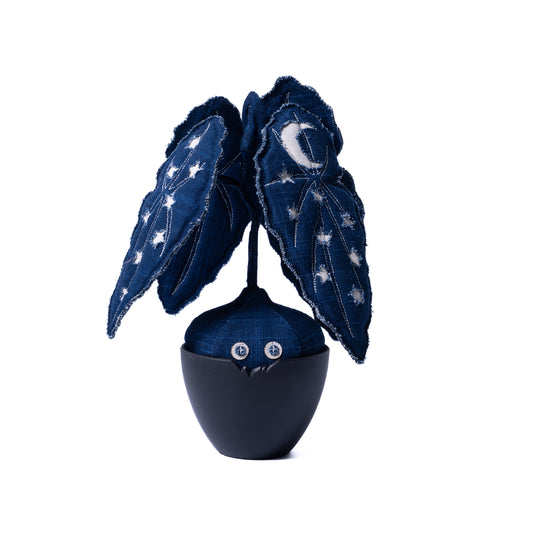 Sashiko Stellarlune Begonia Doji