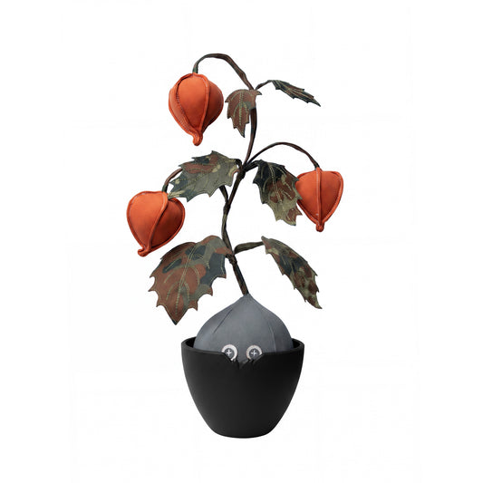 Ground Berry Doji