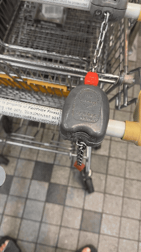 IO Keychain - Fragile