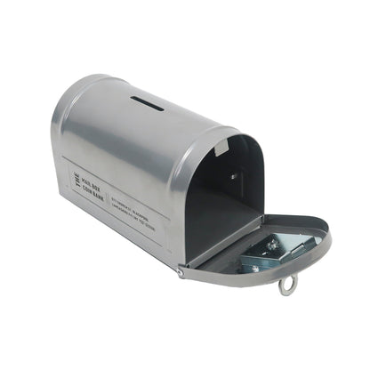 Mail Box Coin Bank